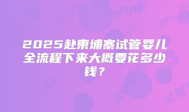 2025赴柬埔寨试管婴儿全流程下来大概要花多少钱?