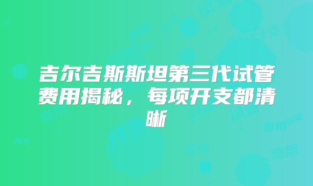 吉尔吉斯斯坦第三代试管费用揭秘,每项开支都清晰