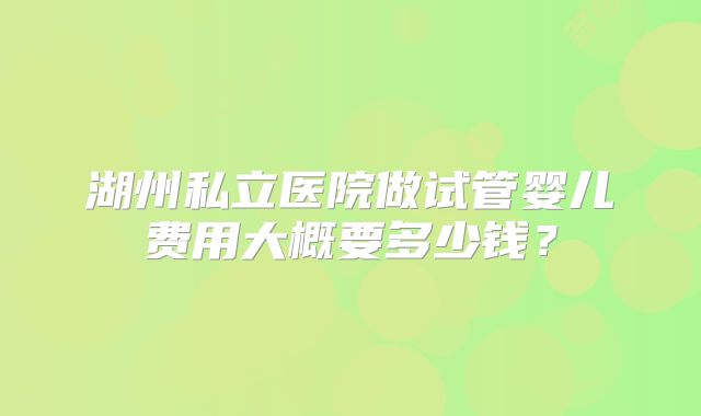 湖州私立医院做试管婴儿费用大概要多少钱？