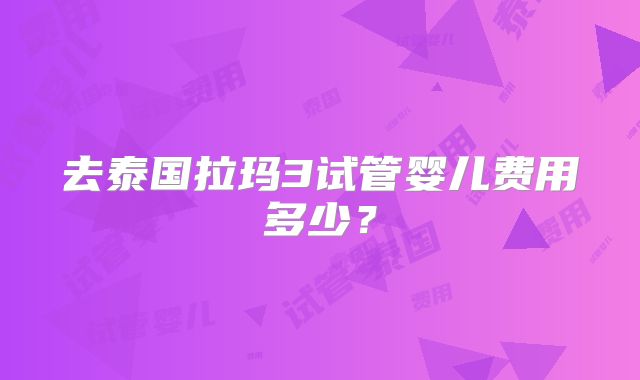 去泰国拉玛3试管婴儿费用多少？