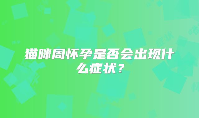 猫咪周怀孕是否会出现什么症状？