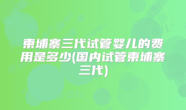 柬埔寨三代试管婴儿的费用是多少(国内试管柬埔寨三代)