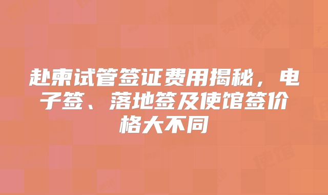 赴柬试管签证费用揭秘，电子签、落地签及使馆签价格大不同
