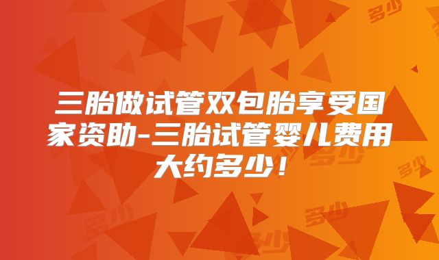 三胎做试管双包胎享受国家资助-三胎试管婴儿费用大约多少！