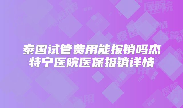 泰国试管费用能报销吗杰特宁医院医保报销详情