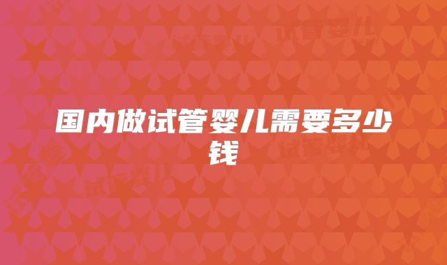 国内做试管婴儿需要多少钱