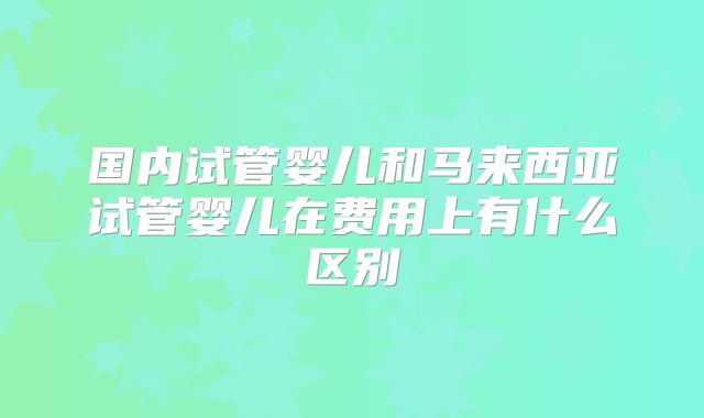 国内试管婴儿和马来西亚试管婴儿在费用上有什么区别