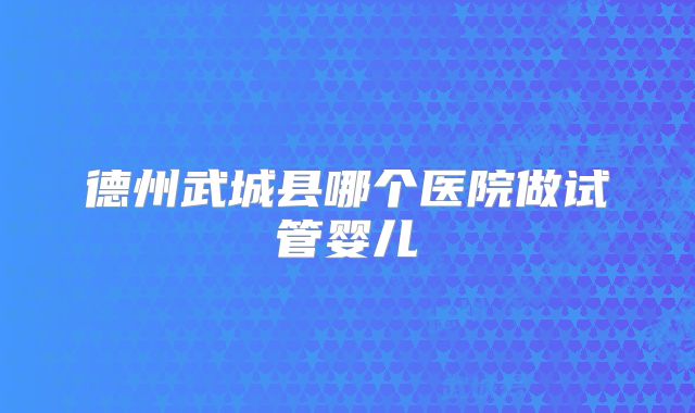 德州武城县哪个医院做试管婴儿