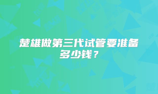 楚雄做第三代试管要准备多少钱?
