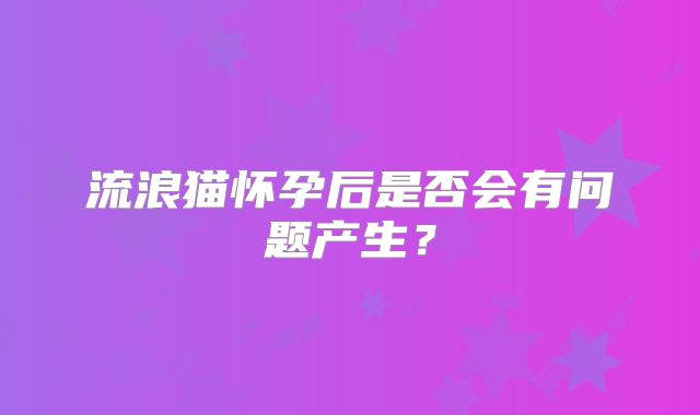 流浪猫怀孕后是否会有问题产生?