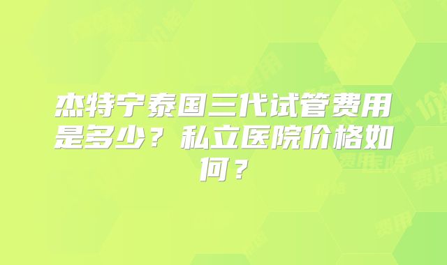 杰特宁泰国三代试管费用是多少?私立医院价格如何?
