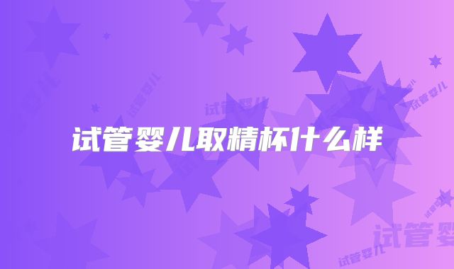 试管婴儿取精杯什么样