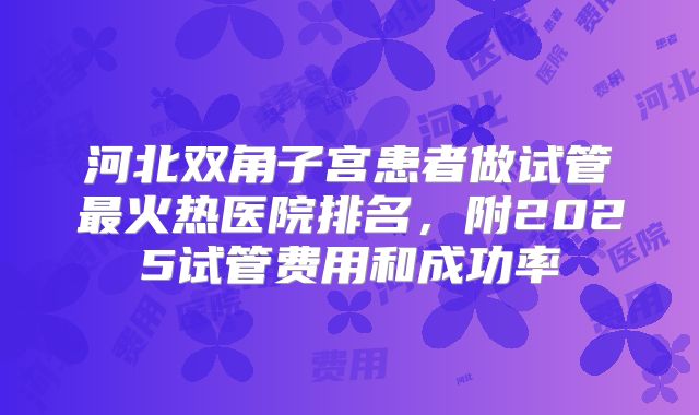河北双角子宫患者做试管最火热医院排名,附2025试管费用和成功率