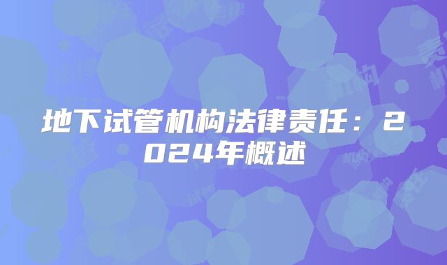 地下试管机构法律责任：2024年概述