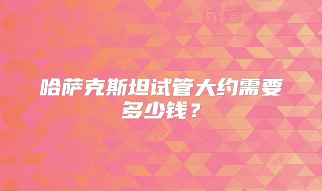 哈萨克斯坦试管大约需要多少钱？