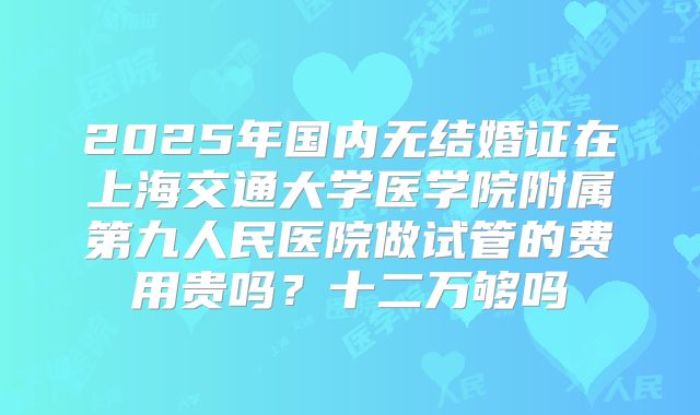 2025年国内无结婚证在上海交通大学医学院附属第九人民医院做试管的费用贵吗?十二万够吗