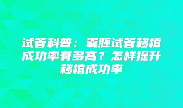 试管科普：囊胚试管移植成功率有多高？怎样提升移植成功率