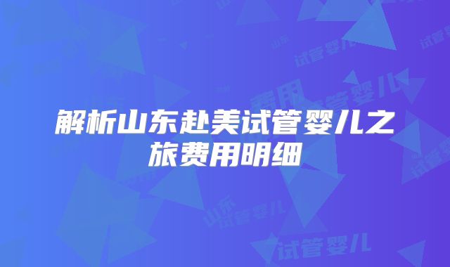 解析山东赴美试管婴儿之旅费用明细