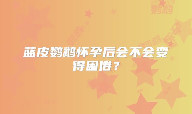 蓝皮鹦鹉怀孕后会不会变得困倦？