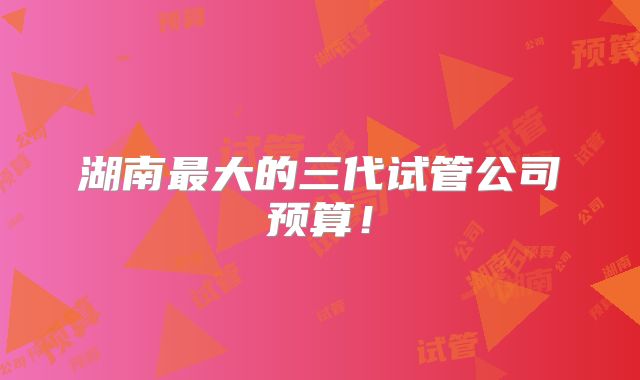 湖南最大的三代试管公司预算！