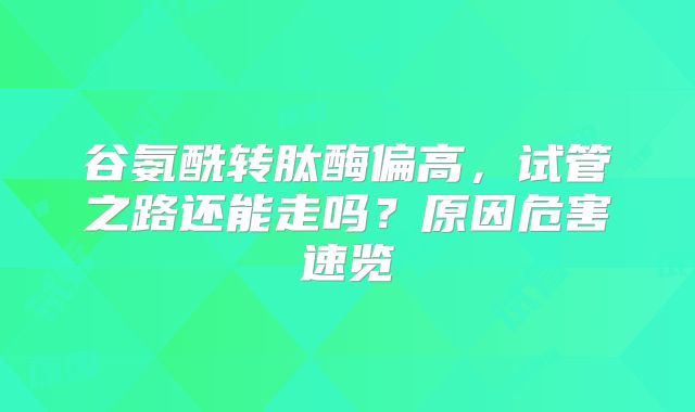 谷氨酰转肽酶偏高，试管之路还能走吗？原因危害速览