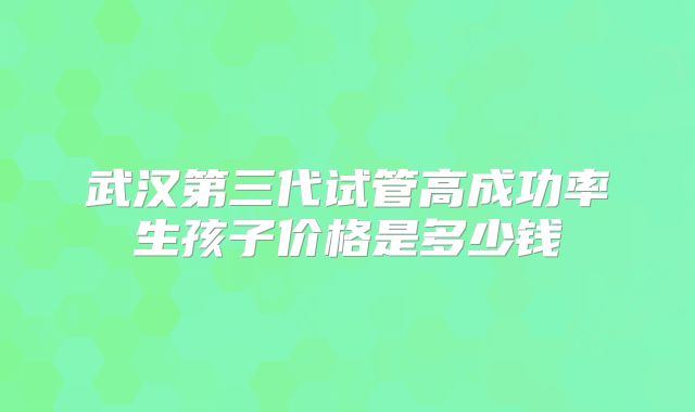 武汉第三代试管高成功率生孩子价格是多少钱