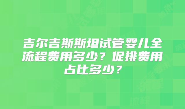 吉尔吉斯斯坦试管婴儿全流程费用多少？促排费用占比多少？