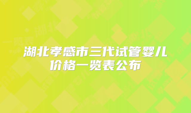 湖北孝感市三代试管婴儿价格一览表公布