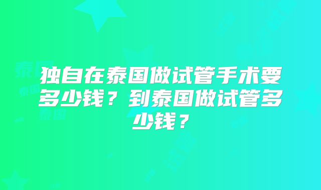 独自在泰国做试管手术要多少钱?到泰国做试管多少钱?