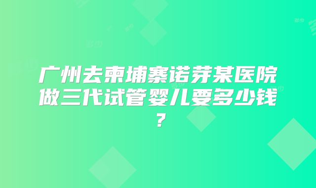 广州去柬埔寨诺芽某医院做三代试管婴儿要多少钱?
