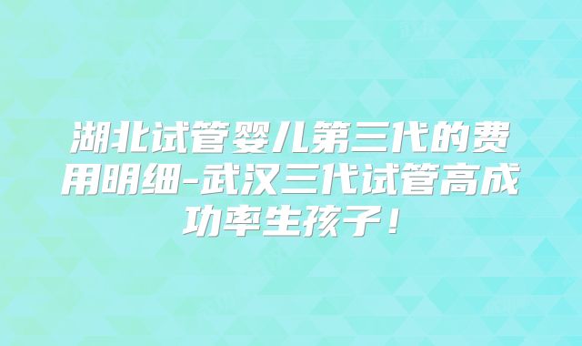 湖北试管婴儿第三代的费用明细-武汉三代试管高成功率生孩子!