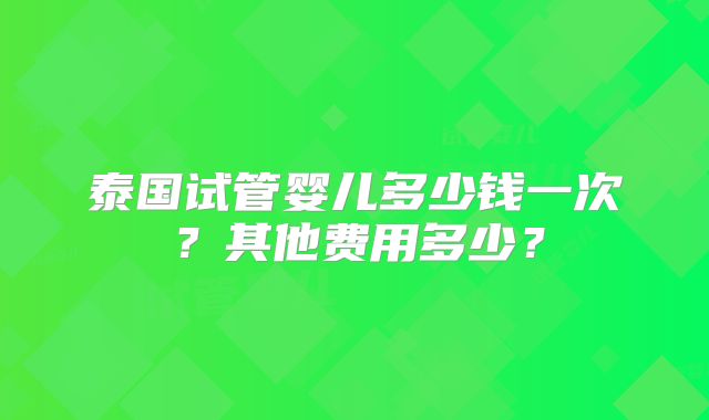 泰国试管婴儿多少钱一次？其他费用多少？