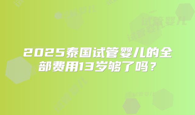 2025泰国试管婴儿的全部费用13岁够了吗？