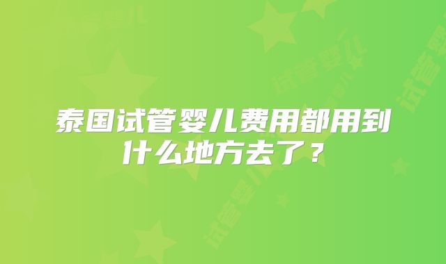 泰国试管婴儿费用都用到什么地方去了?