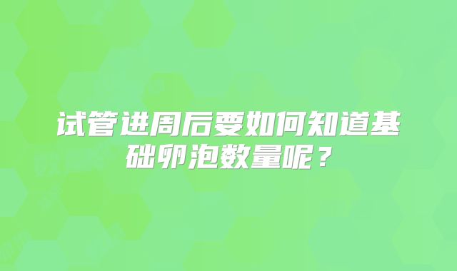 试管进周后要如何知道基础卵泡数量呢？
