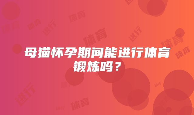 母猫怀孕期间能进行体育锻炼吗？