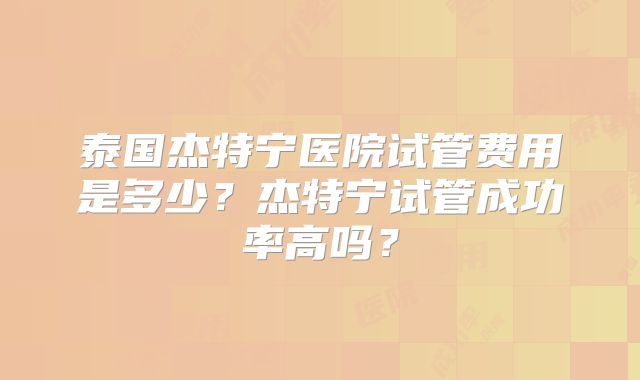 泰国杰特宁医院试管费用是多少？杰特宁试管成功率高吗？