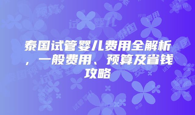 泰国试管婴儿费用全解析，一般费用、预算及省钱攻略
