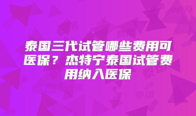 泰国三代试管哪些费用可医保？杰特宁泰国试管费用纳入医保