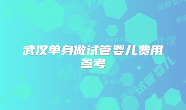 武汉单身做试管婴儿费用参考
