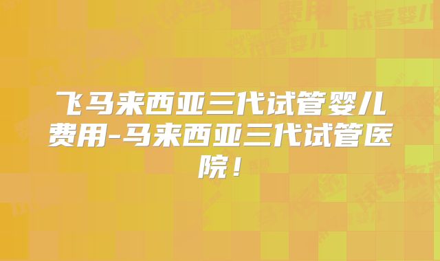飞马来西亚三代试管婴儿费用-马来西亚三代试管医院!