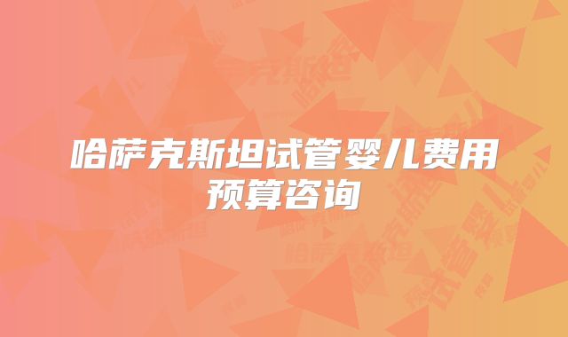 哈萨克斯坦试管婴儿费用预算咨询