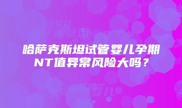 哈萨克斯坦试管婴儿孕期NT值异常风险大吗？