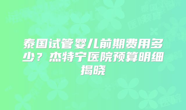 泰国试管婴儿前期费用多少?杰特宁医院预算明细揭晓