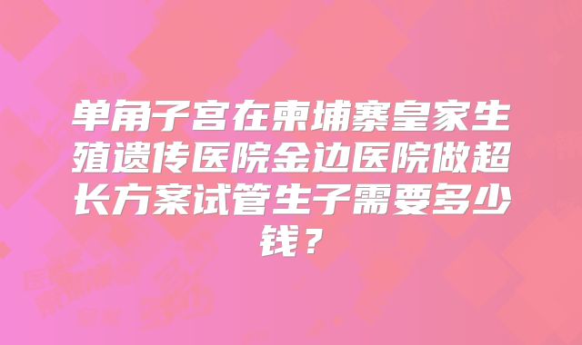单角子宫在柬埔寨皇家生殖遗传医院金边医院做超长方案试管生子需要多少钱？