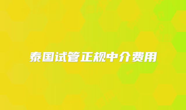 泰国试管正规中介费用