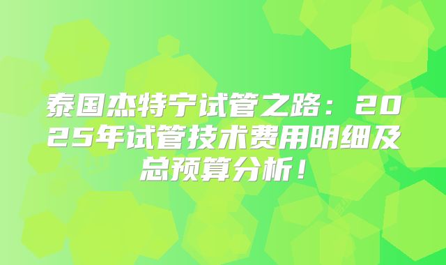 泰国杰特宁试管之路：2025年试管技术费用明细及总预算分析！