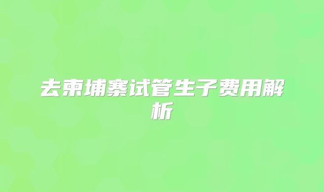 去柬埔寨试管生子费用解析