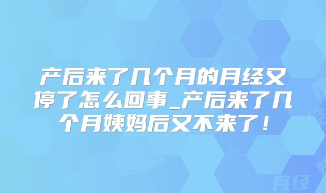 产后来了几个月的月经又停了怎么回事_产后来了几个月姨妈后又不来了!