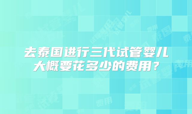 去泰国进行三代试管婴儿大概要花多少的费用？